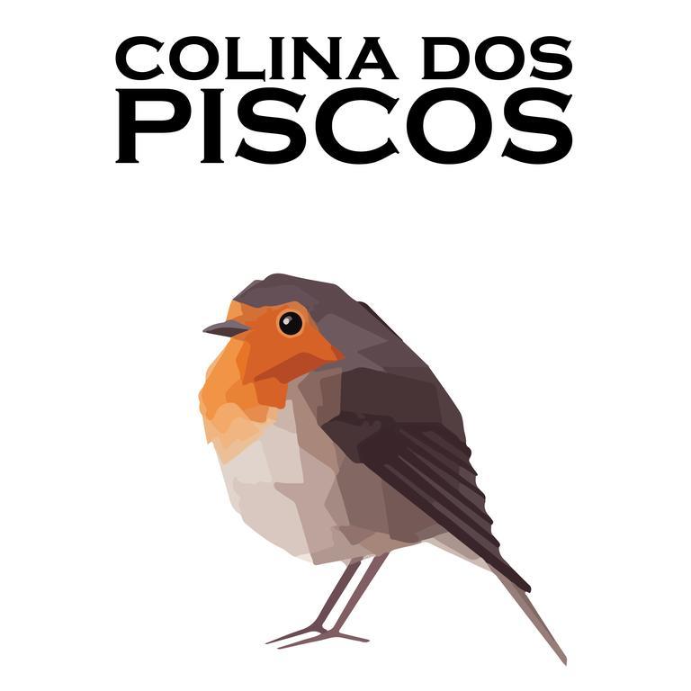 Colina Dos Piscos Casais da Abadia Ngoại thất bức ảnh