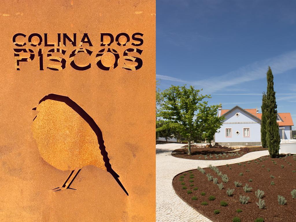 Colina Dos Piscos Casais da Abadia Ngoại thất bức ảnh